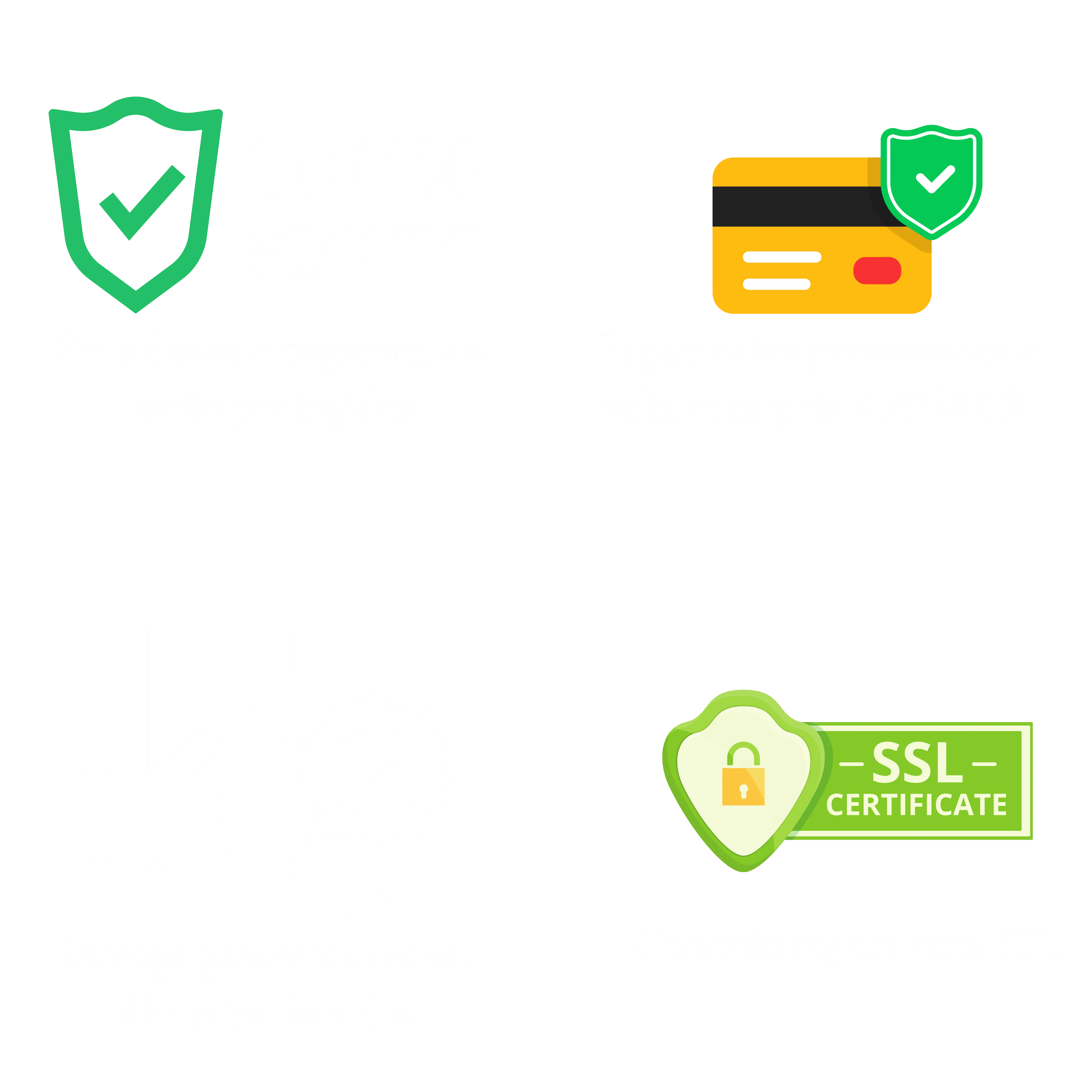 Selos de segurança Alpha Boys